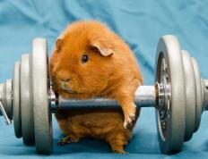 开云体育平台APP-逆境中的王者，多特蒙德翻盘与凯恩抢七接管启示录