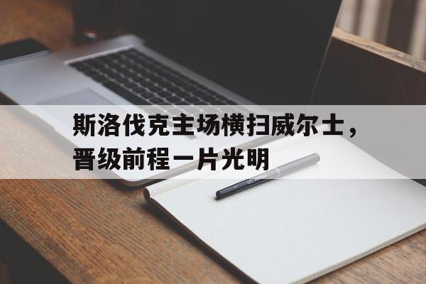开云体育登录-关于斯洛伐克主场横扫威尔士，晋级前程一片光明的信息