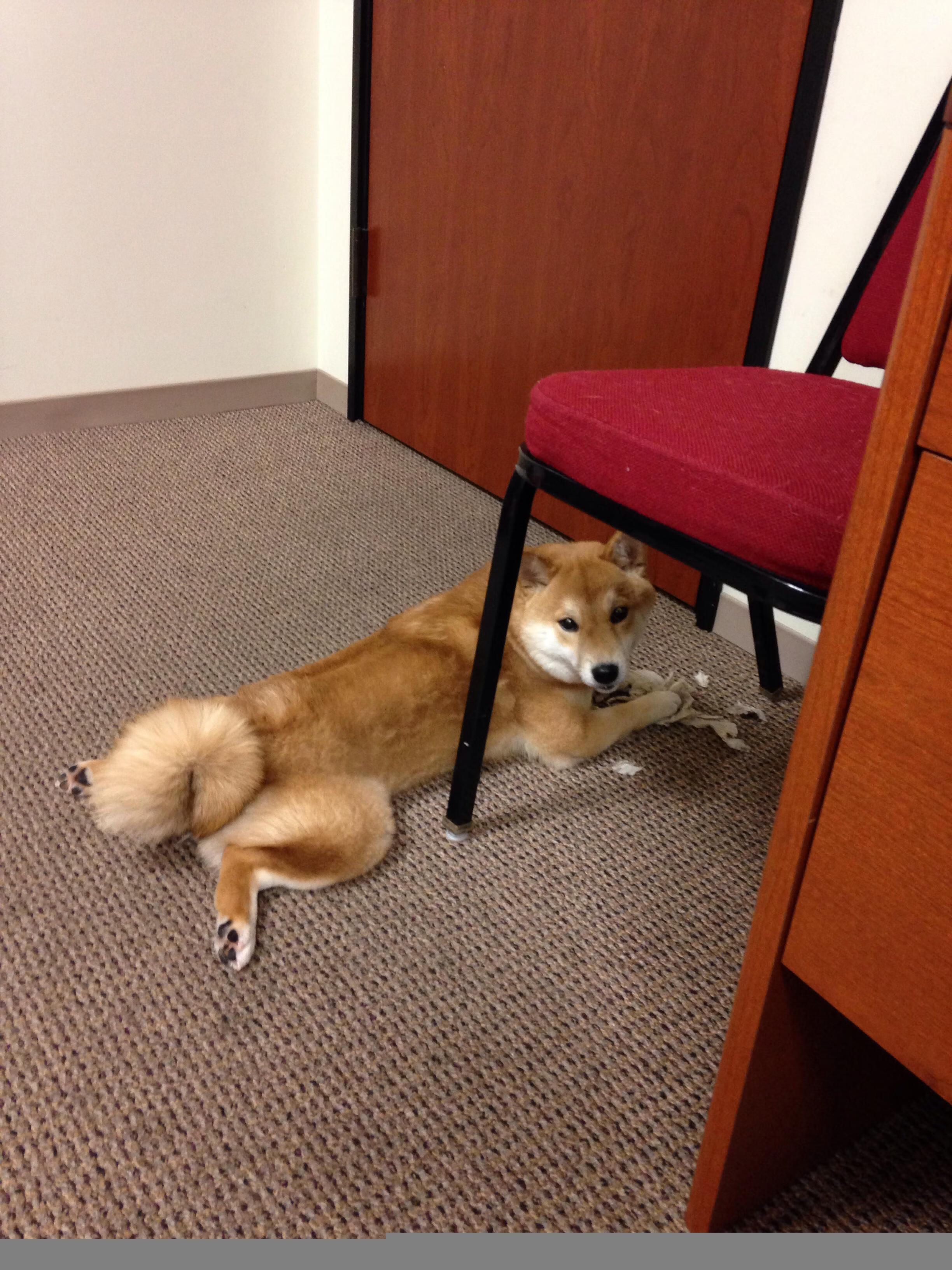 开云体育-戈麦斯争议烟花，威尔士对阵智利的绿茵场，被一记绝杀点燃