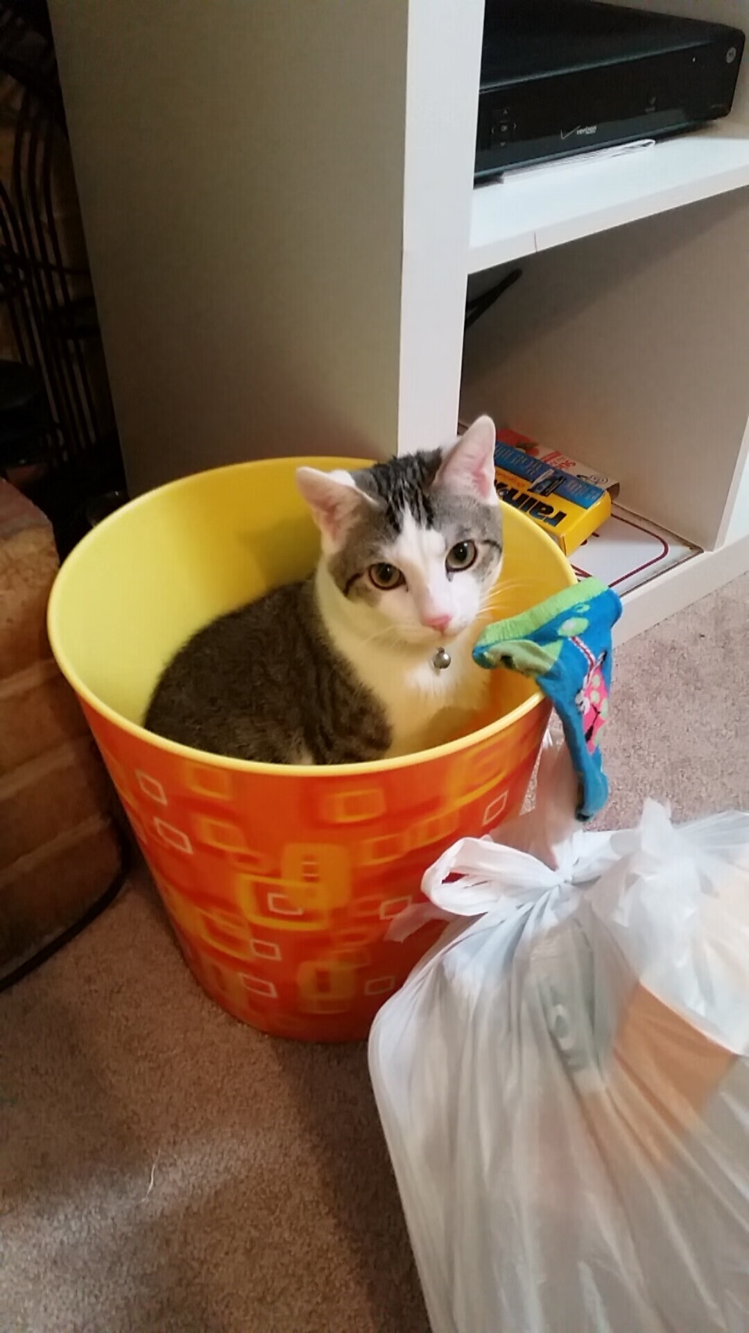 开云体育app-马里血刃樱花防线，格纳布里用进球谱写身份战争