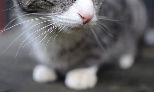 开云体育-雪崩式逆袭！CBA再现惊天翻盘，末节狂澜中他化身关键先生