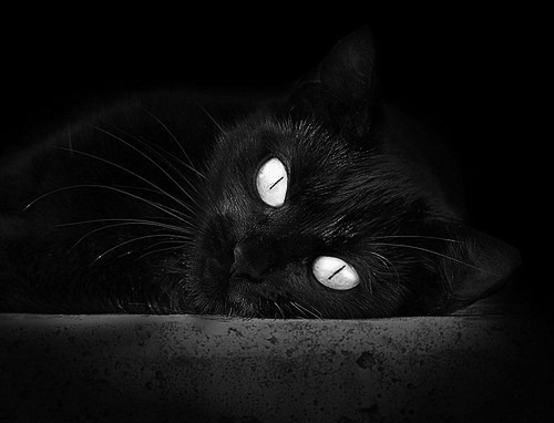 开云体育-当防守铁壁遇见拆墙重锤，哈利伯顿如何肢解森林狼的防线？