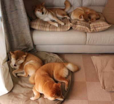 开云体育-绿茵场的双面诗篇，维尼修斯的锋芒与突尼斯的铁血