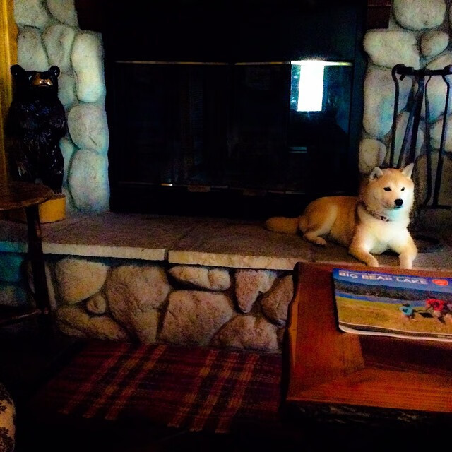 开云下载-双城记，当英超刺刀见红，鹈鹕已学会优雅压制—赛场辩证法与胜利的多元面孔