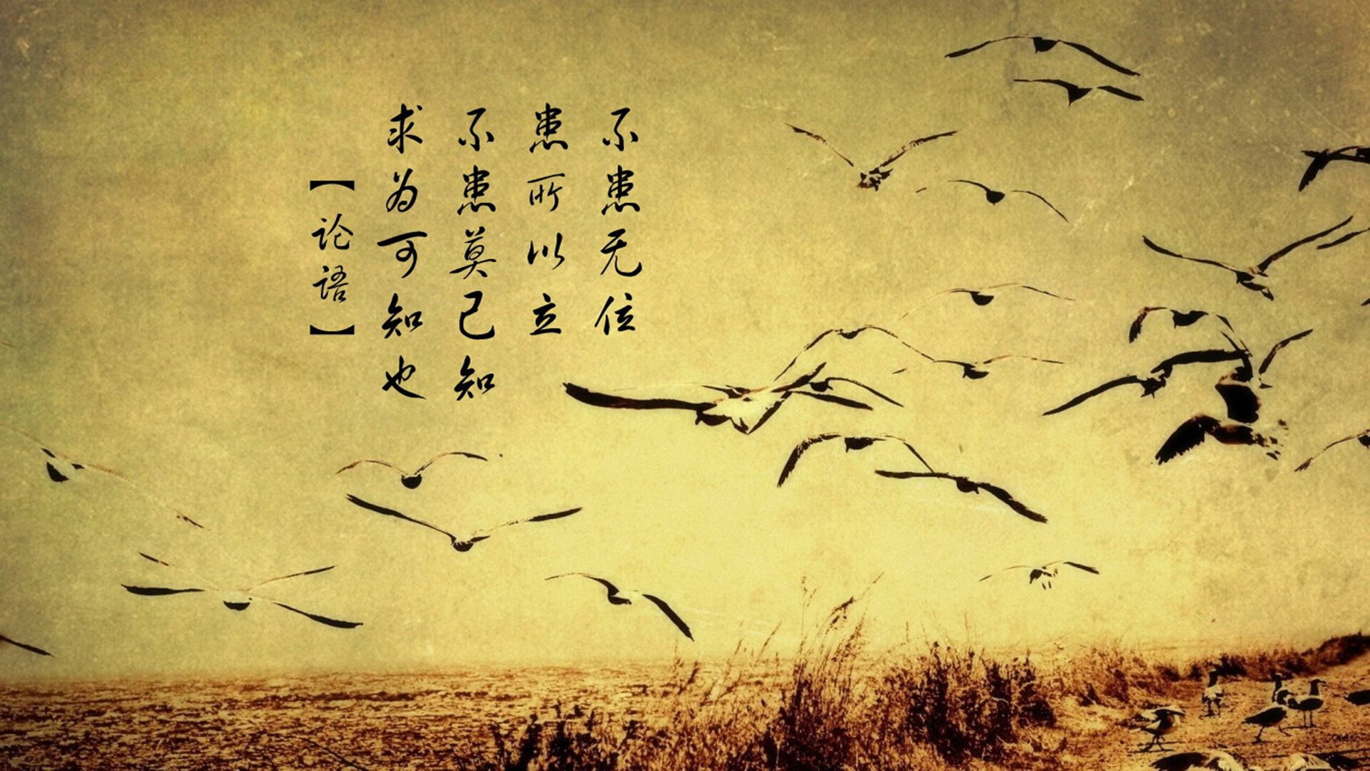 开云体育-单节狂飙定乾坤,黄蜂第三波攻势击溃新疆,马克西化身关键先生接管比赛