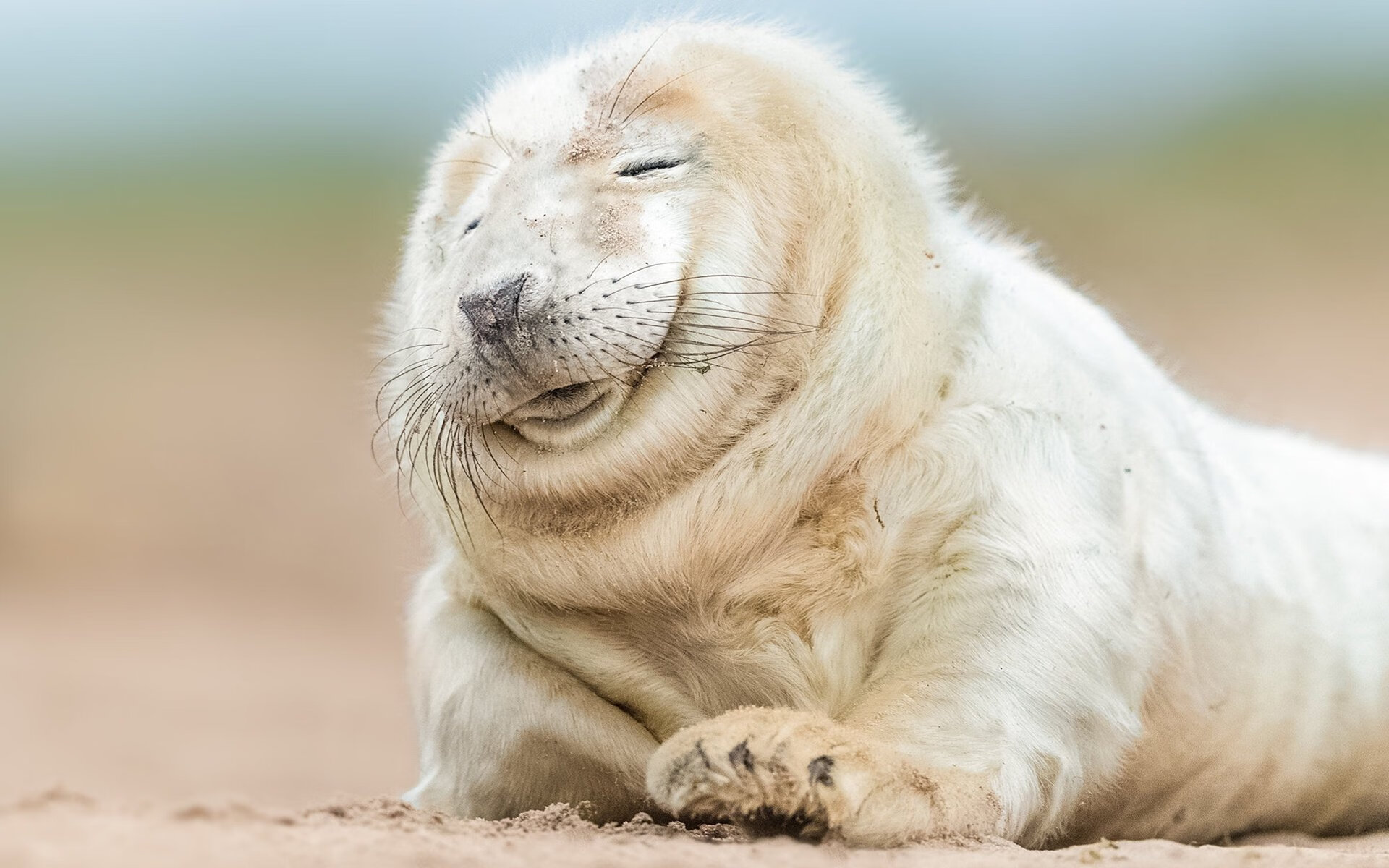 开云体育官方网站-霍勒迪全场高效贡献,鹈鹕力克广厦取关键胜利