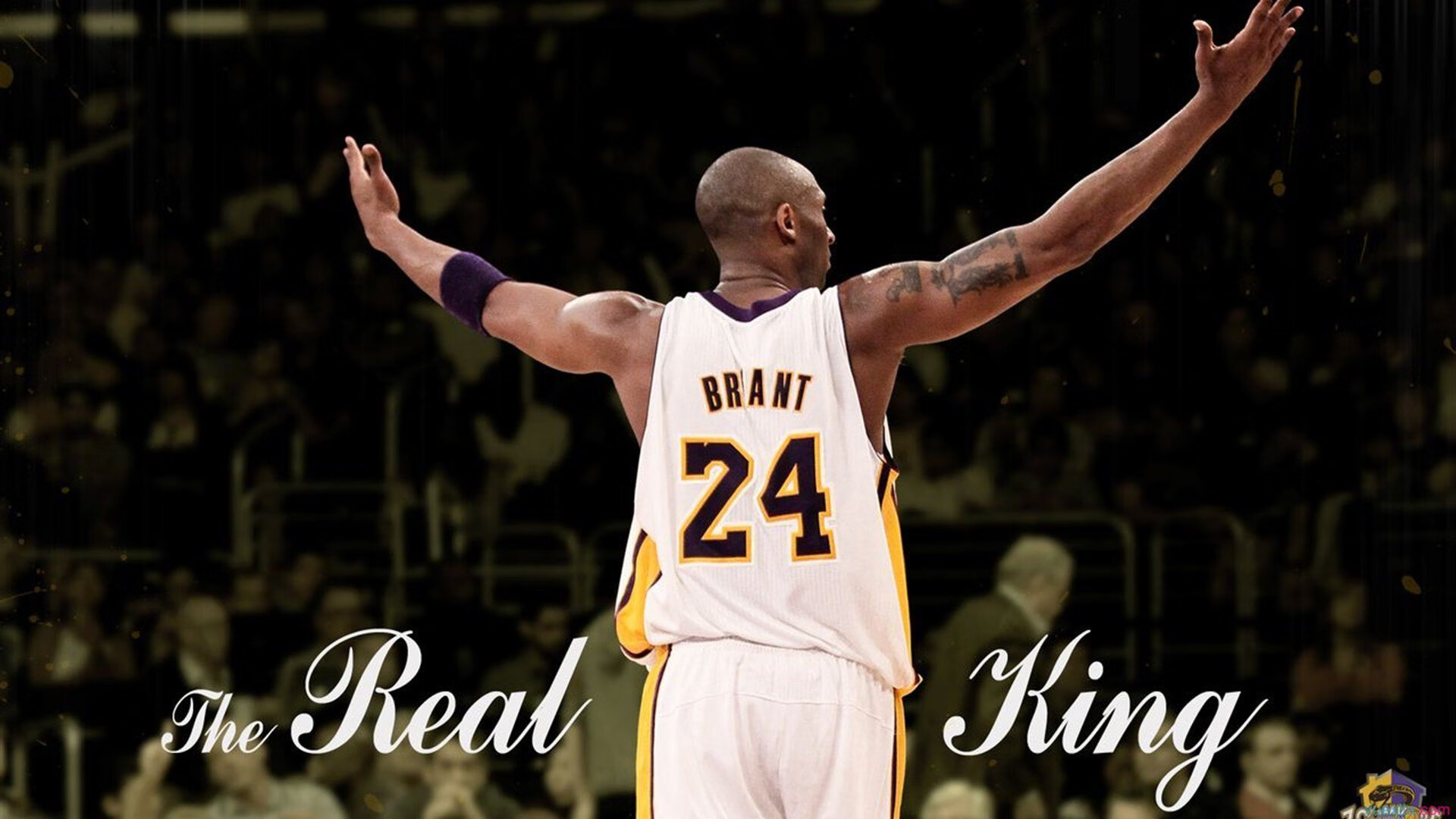 开云官网-冰与火的对决，布鲁诺的致命连击与喀麦隆的叹息