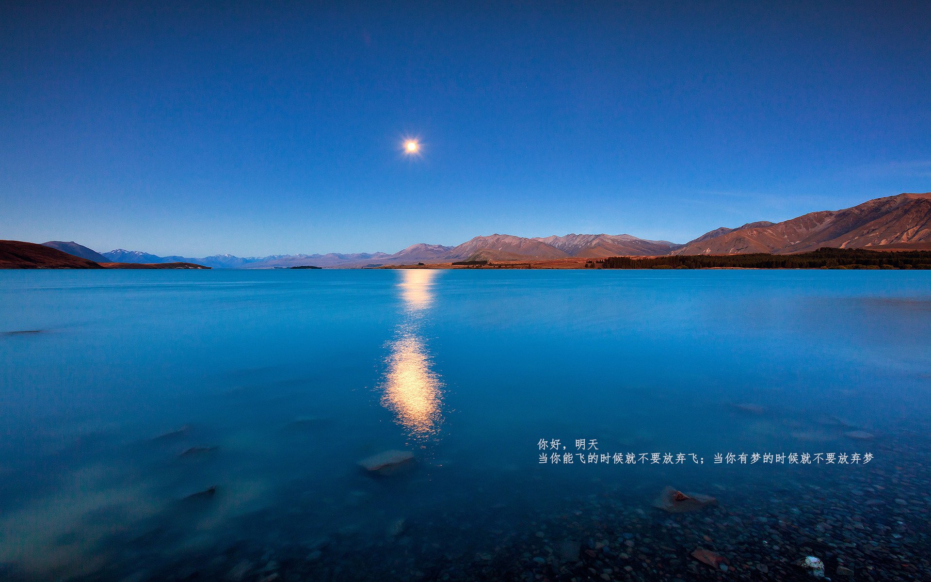 开云平台-帕尔默的王者时刻,波兰在美加墨世界杯中力克日本,新星接管比赛