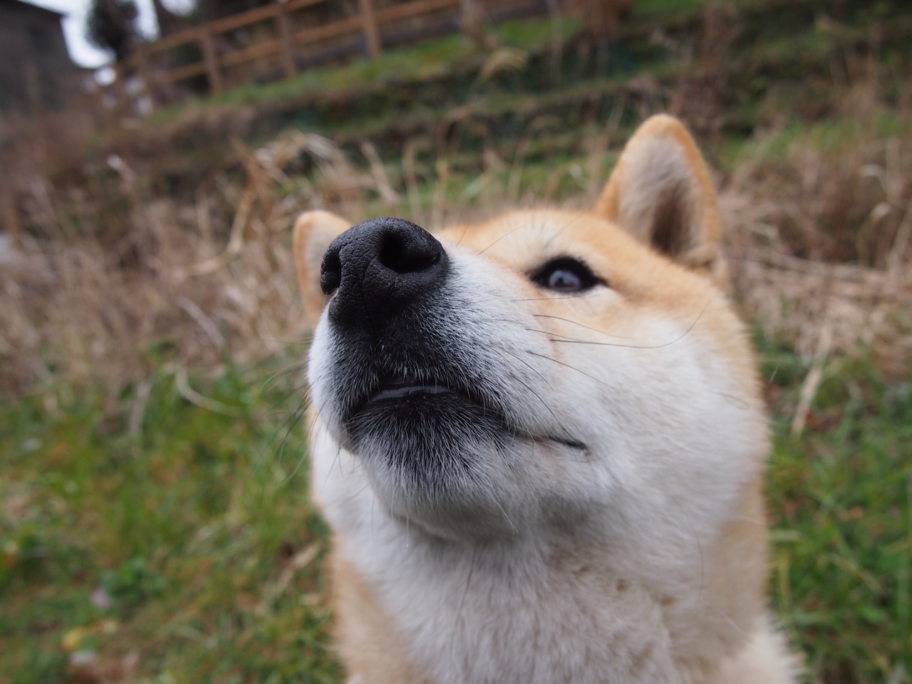 开云平台-鹰击奥兰多，凤凰焚天幕，当进攻成为唯一的解药