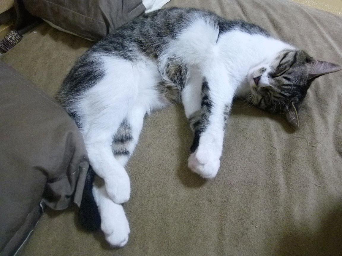 开云体育中国-孤城破晓!杜兰特末节狂飙率骑士险胜深圳,生死三分锁定胜局