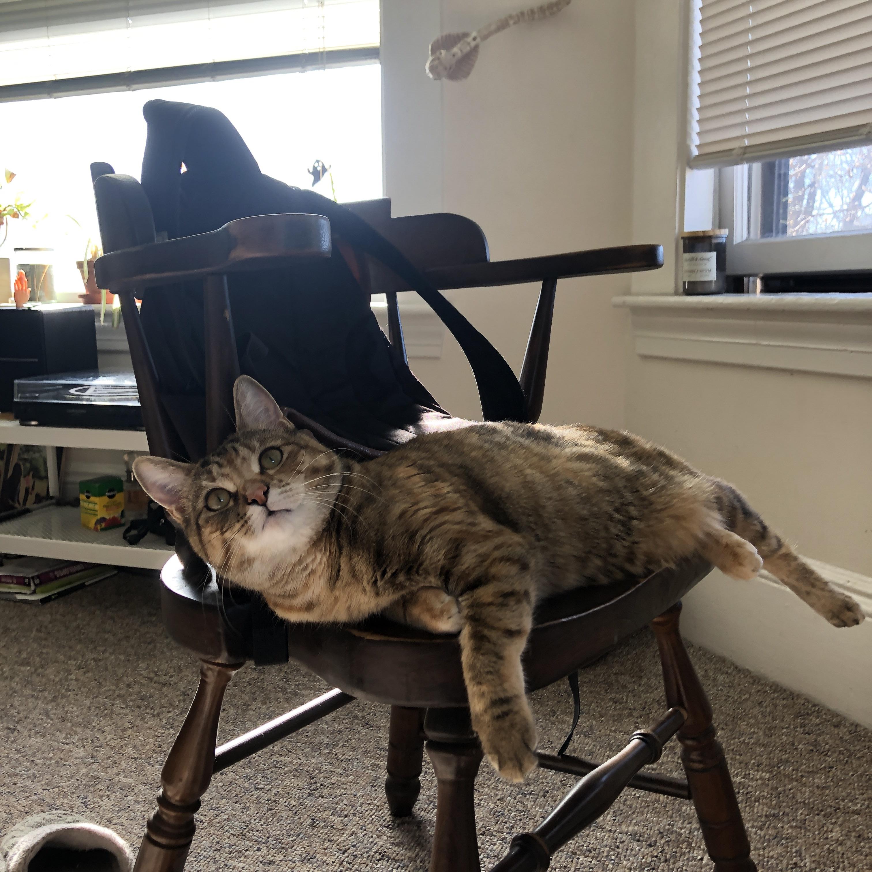 开云体育下载-无解之舞，托尼的街道王座之夜