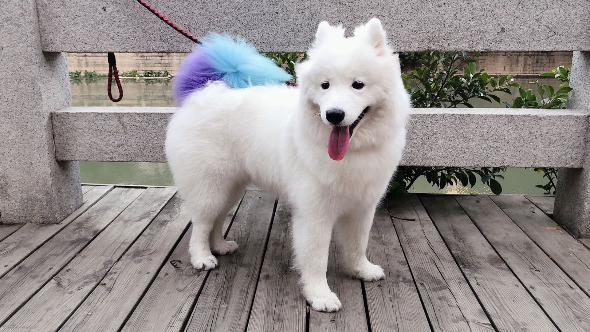 开云体育下载-无解之舞，托尼的街道王座之夜