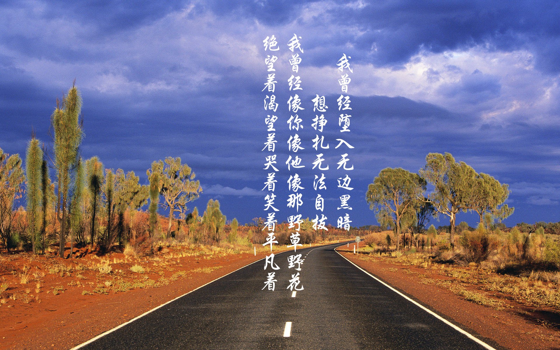 开云体育中国-手起刀落之时，当武切维奇在命运的十字路口摒弃犹豫